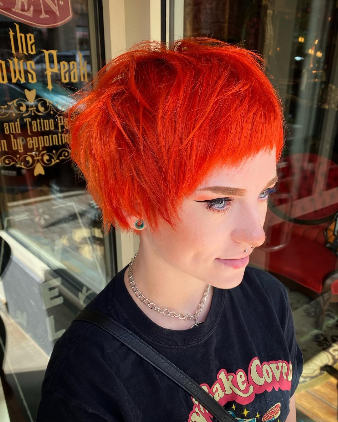 fiery red pixie bob