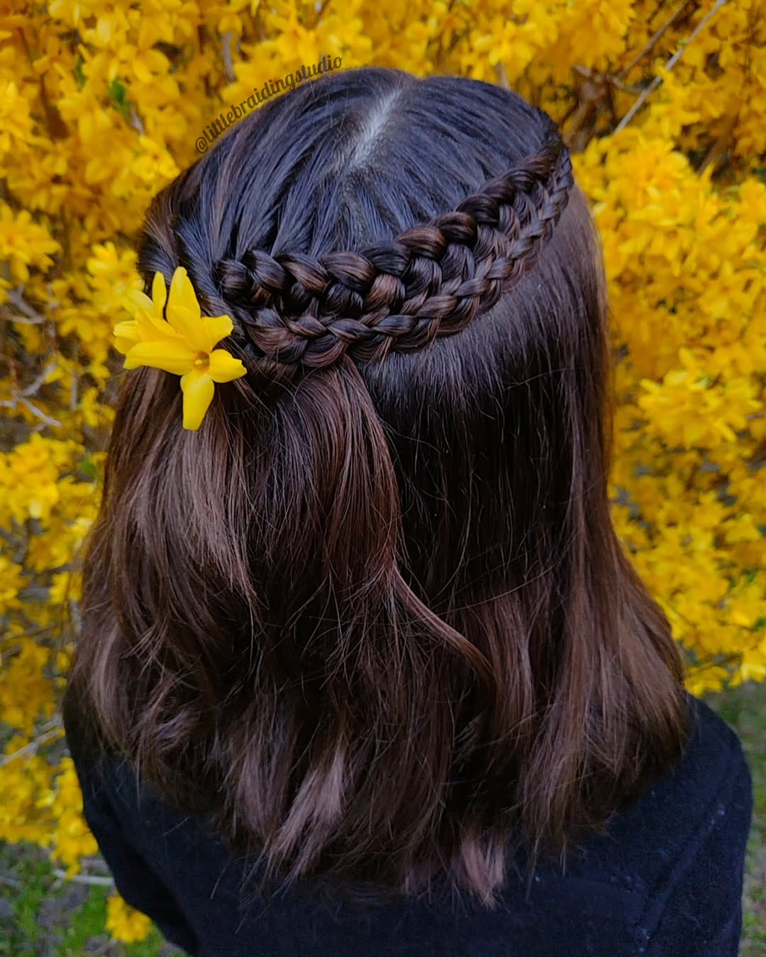 half up connected Dutch braids